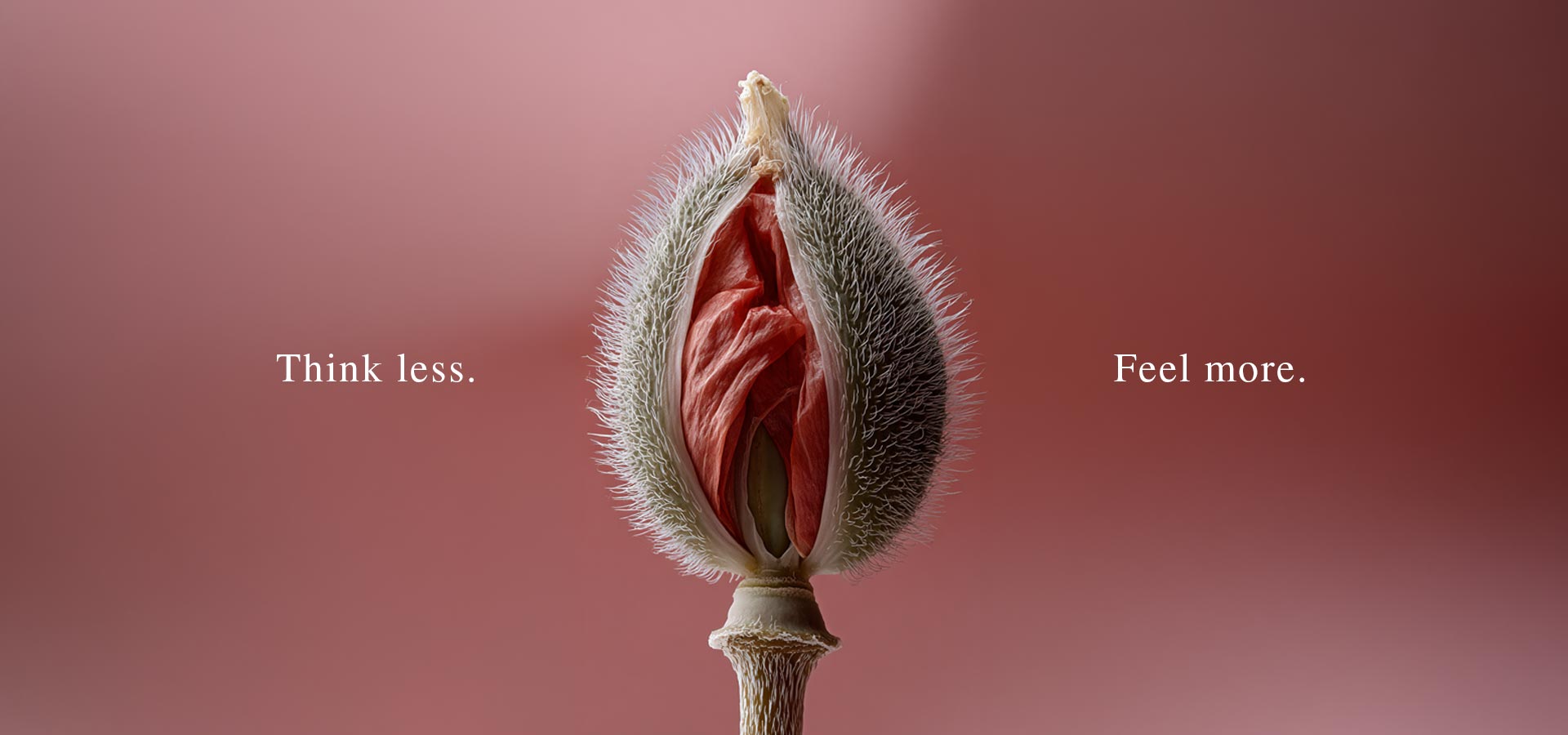 myhedon-slider-banner_think-less