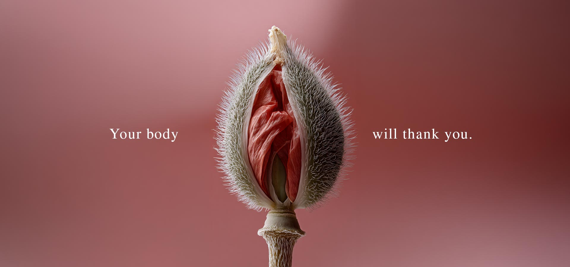 myhedon-slider-banner-body-thank-you